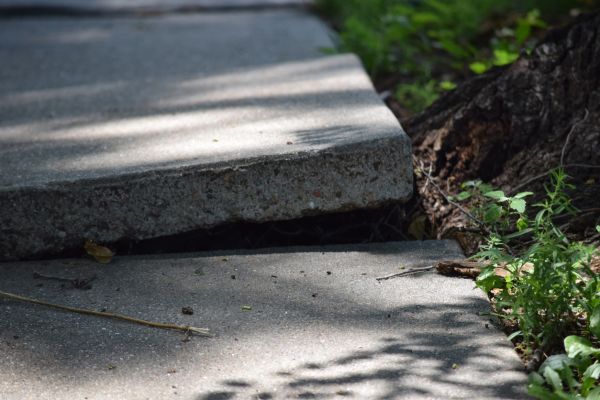 Sidewalk Leveling in Brighton
