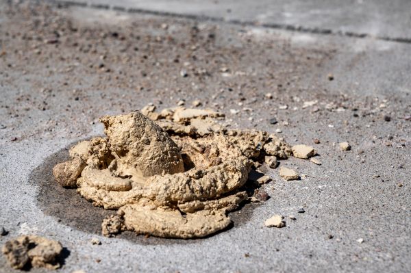Cost of Driveway Slab Leveling in Brighton